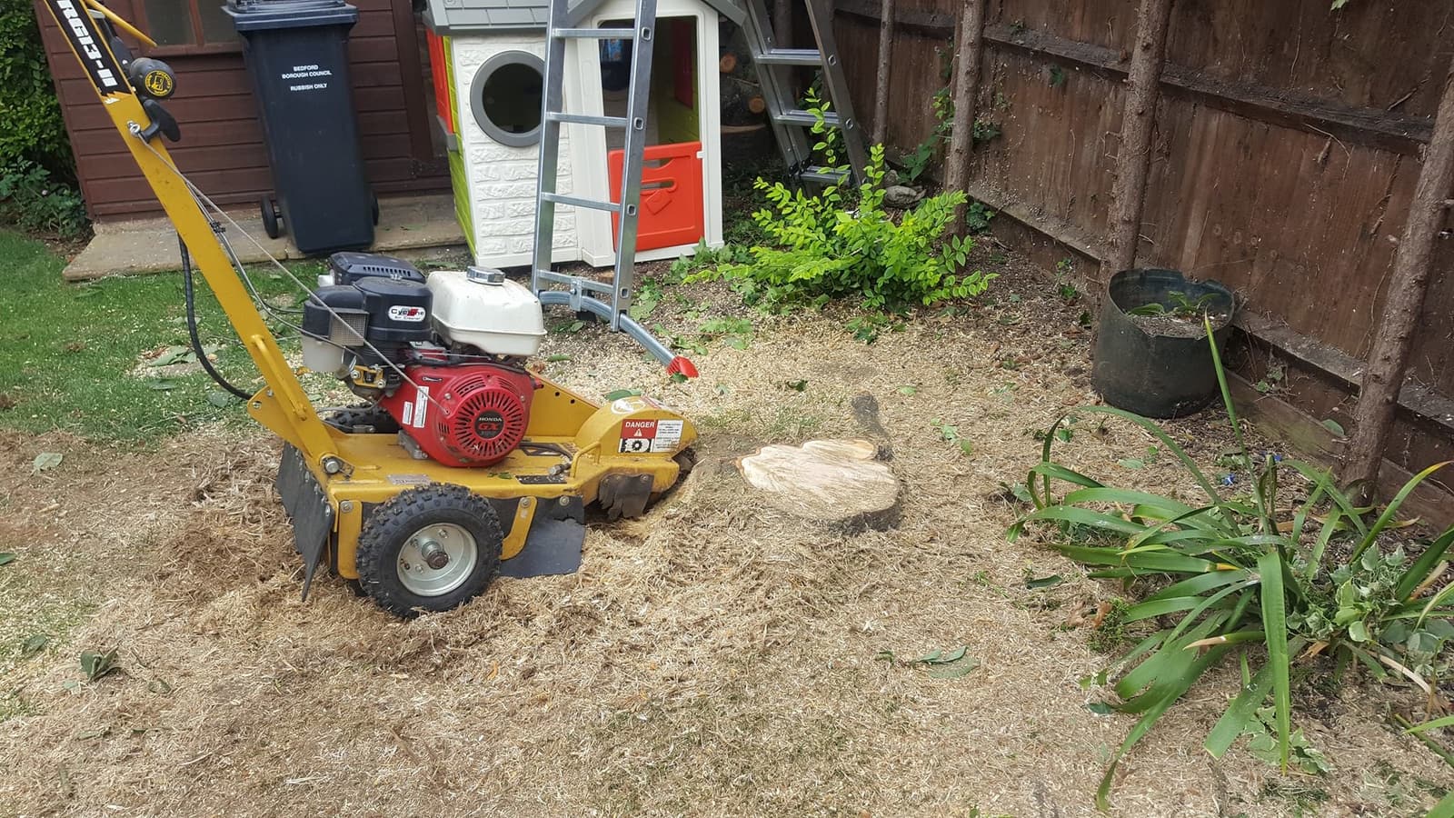 stump grinding after