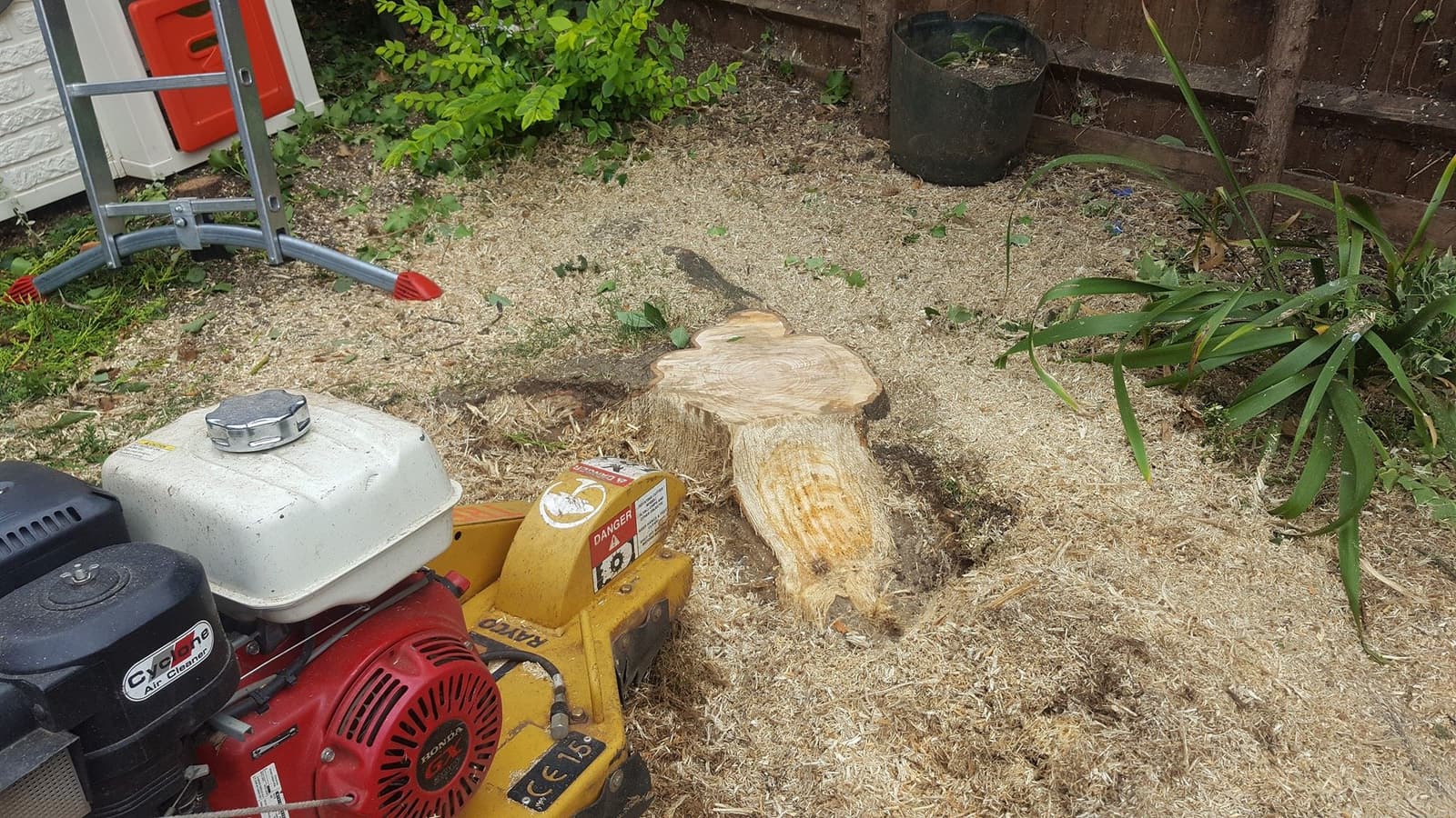 stump grinding before